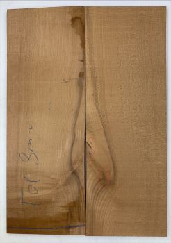Top  Sycamore, 8mm, 2-pcs. Unique-Piece #014
